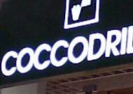 cocco